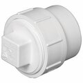 Pinpoint Charlotte Pipe & Foundry PVC00105X0600HA Cleanout Body Adapter 1.5 in. PI148265